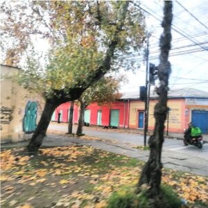 Vinculación con el medio